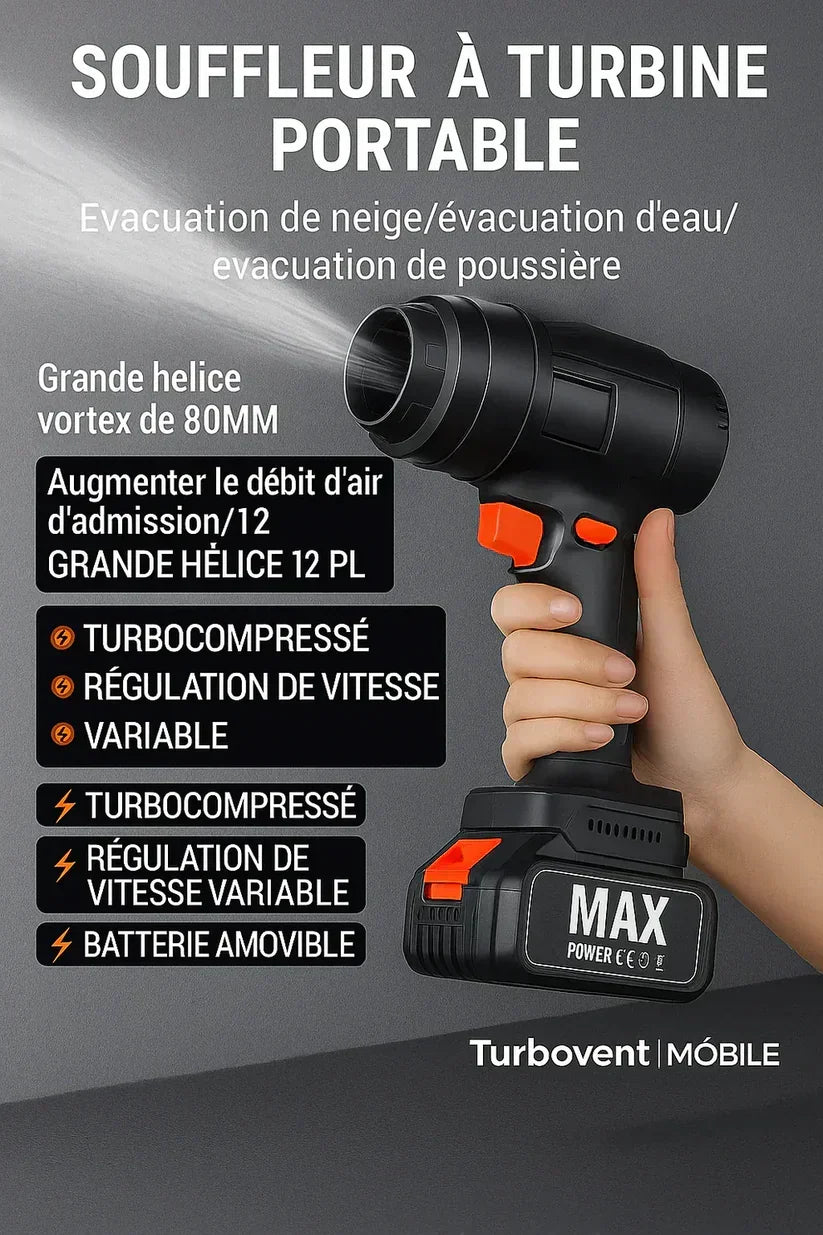 Souffleur sans fil Turbo Storm