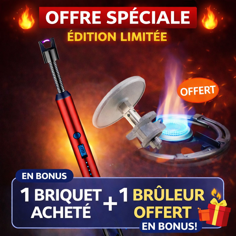 BRIQUET ÉLECTRIQUE