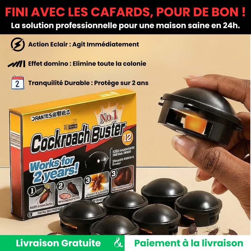 Boîte de 12 pièges anti-cafards et fourmis RHAKE
