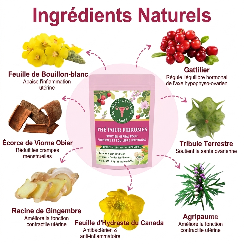 Thé Naturel Pour Fibromes Utérins et Équilibre Hormonal