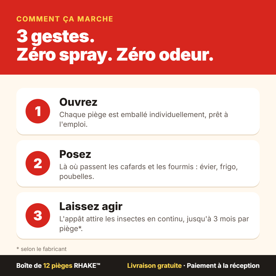 Kit Anti-Cafards et Fourmis RHAKE™ – Boîte de 12 Pièges
