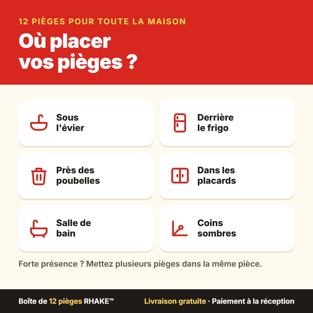 Kit Anti-Cafards et Fourmis RHAKE™ – Boîte de 12 Pièges